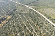 Tour of Highlands Forestry Practices