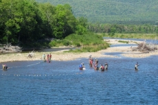 Broodstock Collection 2016 - Margaree