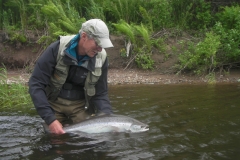 Salmon Fishing - Release on the Margaree.