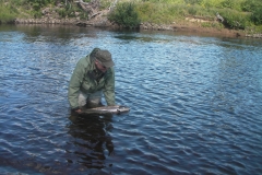 Salmon Fishing - Release on the Margaree.