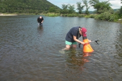 Field study of the eastern pearl mussel of the Margaree. (August 2018)