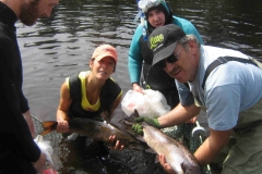 Broodstock 2011