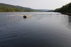 DFO - MSA Margaree River Counting Trap