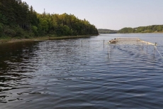 DFO - MSA Margaree River Counting Trap