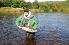 stefan-fish