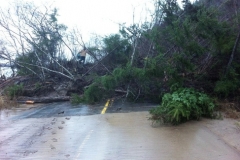 Flood Aftermath