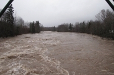 Downstream view from Ross Bridge