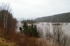 High water near Doyle's Bridge