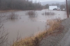 Margaree Forks Irving