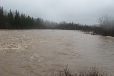 Downstream from Cranton Bridge