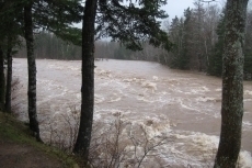 Downstream at Hatchery Pool
