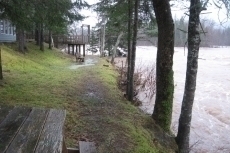 Benches and Observation Deck at Hatchery Pool