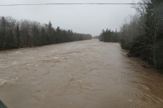 Downstream from Ingraham Bridge