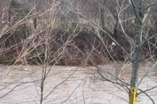 Debris at Etheridge Pool