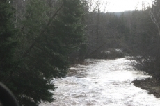 Upstream from Highway Bridge at Big Brook