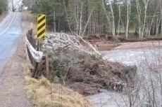 Debris at Bridge over Nile Brook, near Red Bank Pool