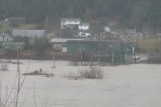 Bridge at East Margaree