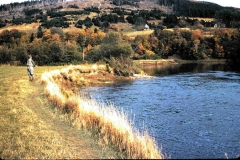 Margaree Memory Lane