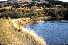 seal-pool-circa-1967