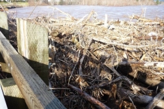 November 18, 2014 Flood