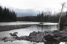 A downstream view of Hart Pool 