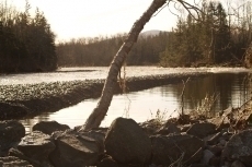 New Gravel bar in Hart Pool 