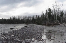A second downstream view of Hart Pool
