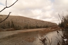 Upstream to Little McDaniel from Twin Elms 