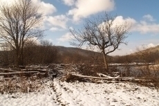 Path at Twin Elms Pool 