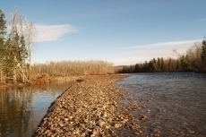 Upstream view of gravel bar