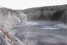 Brook Pool Frost