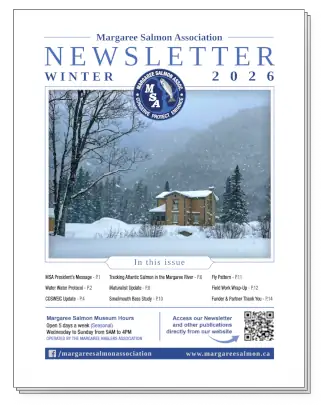 Winter 2026 Newsletter - Margaree Salmon Association